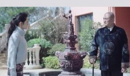 归来在线观看完整版,穿越时空的深情之旅